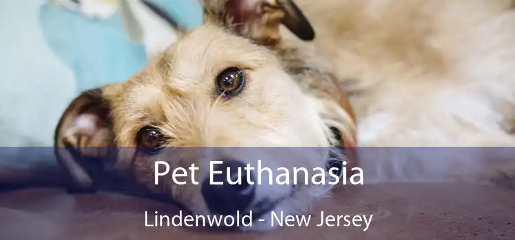 Pet Euthanasia Lindenwold - New Jersey