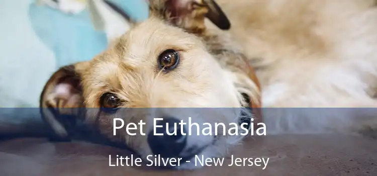 Pet Euthanasia Little Silver - New Jersey