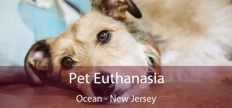 Pet Euthanasia Ocean - New Jersey