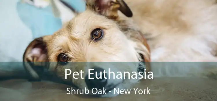 Pet Euthanasia Shrub Oak - New York