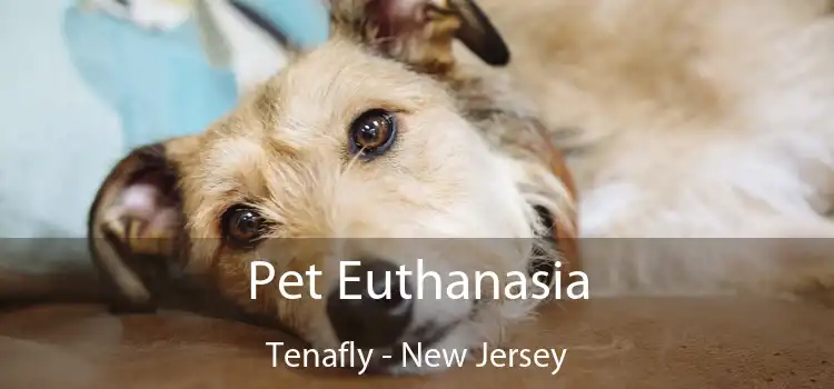 Pet Euthanasia Tenafly - New Jersey