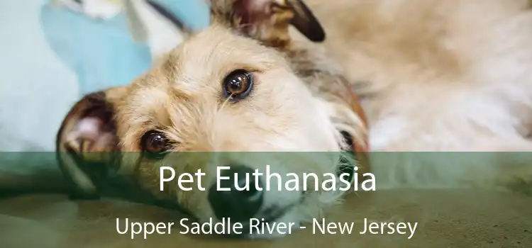 Pet Euthanasia Upper Saddle River - New Jersey