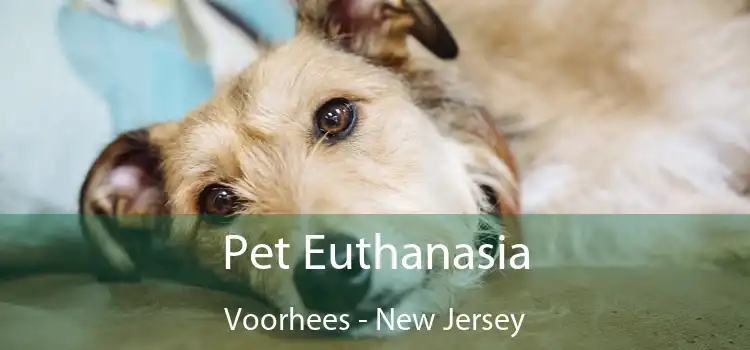 Pet Euthanasia Voorhees - New Jersey