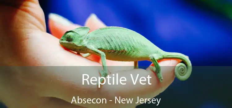 Reptile Vet Absecon - New Jersey