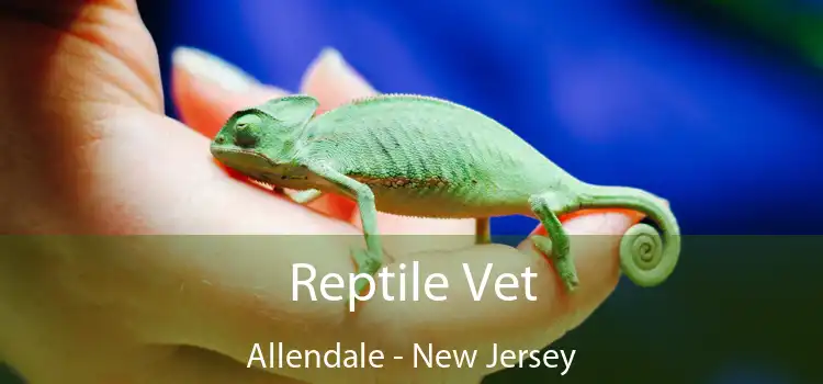 Reptile Vet Allendale - New Jersey