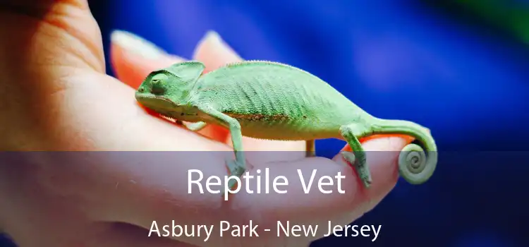 Reptile Vet Asbury Park - New Jersey