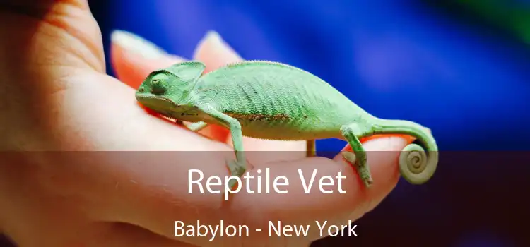 Reptile Vet Babylon - New York