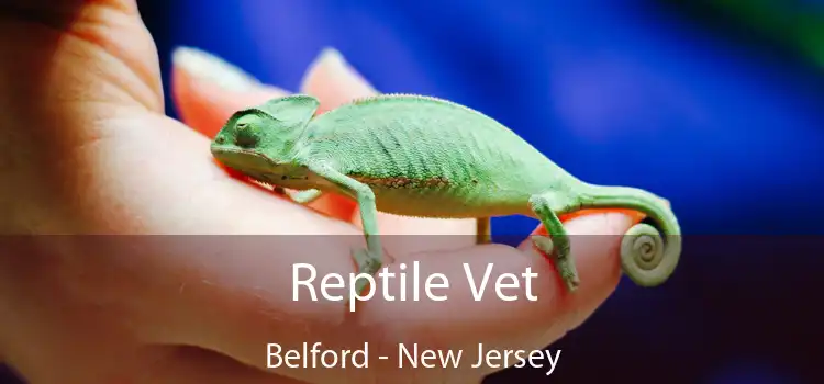 Reptile Vet Belford - New Jersey