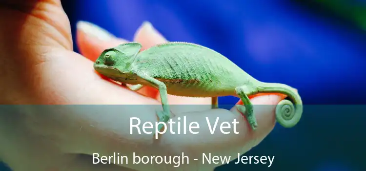 Reptile Vet Berlin borough - New Jersey