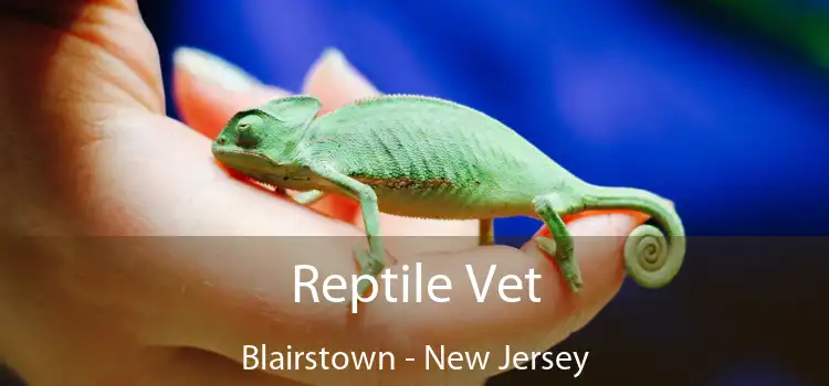 Reptile Vet Blairstown - New Jersey