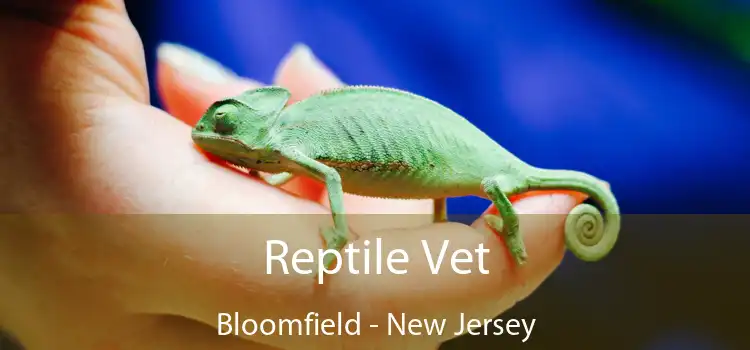 Reptile Vet Bloomfield - New Jersey