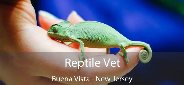 Reptile Vet Buena Vista - New Jersey