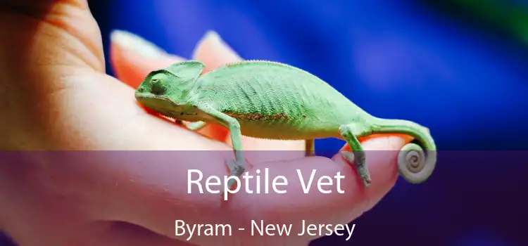 Reptile Vet Byram - New Jersey