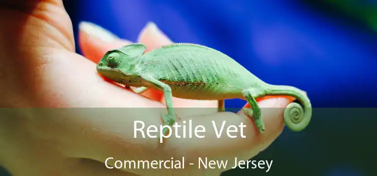 Reptile Vet Commercial - New Jersey