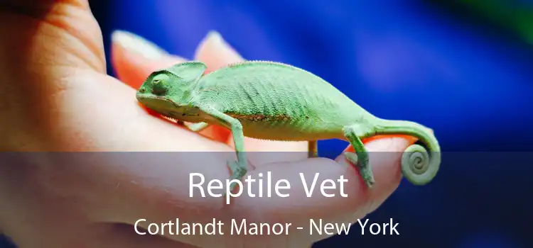 Reptile Vet Cortlandt Manor - New York