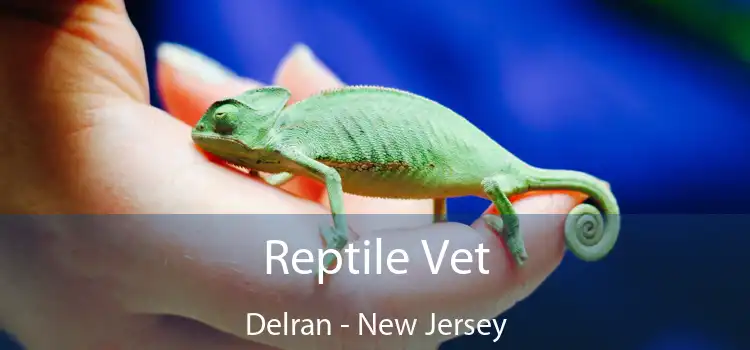 Reptile Vet Delran - New Jersey