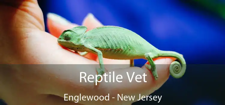 Reptile Vet Englewood - New Jersey