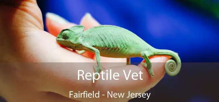 Reptile Vet Fairfield - New Jersey