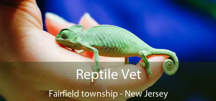 Reptile Vet Fairfield township - New Jersey