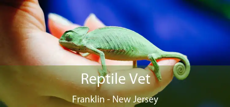 Reptile Vet Franklin - New Jersey