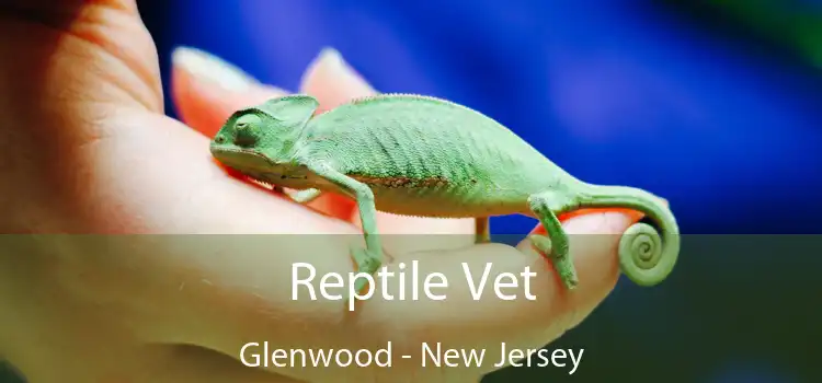 Reptile Vet Glenwood - New Jersey