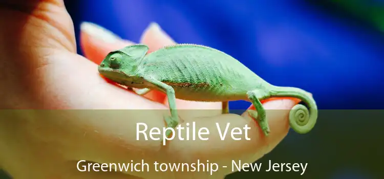 Reptile Vet Greenwich township - New Jersey