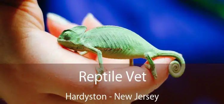 Reptile Vet Hardyston - New Jersey