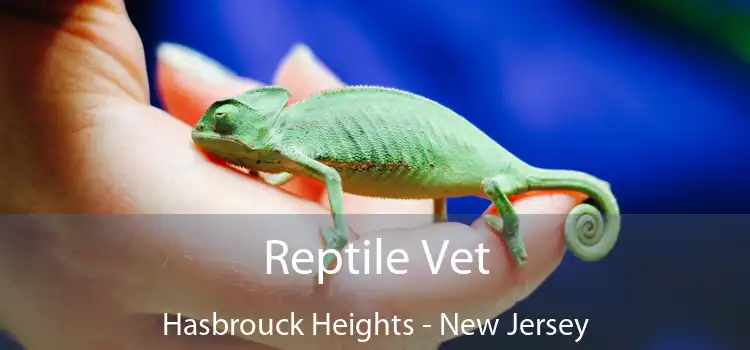 Reptile Vet Hasbrouck Heights - New Jersey