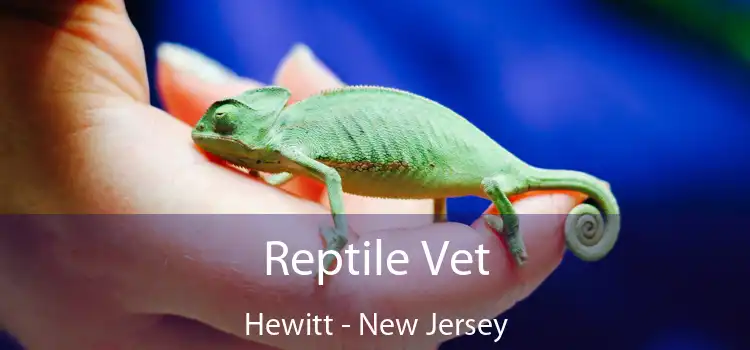 Reptile Vet Hewitt - New Jersey