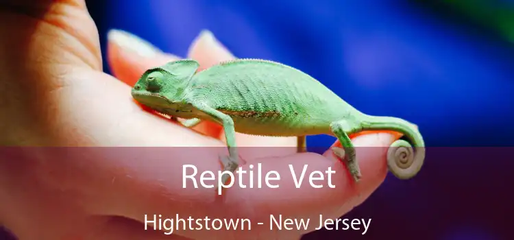 Reptile Vet Hightstown - New Jersey