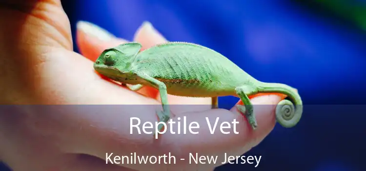 Reptile Vet Kenilworth - New Jersey