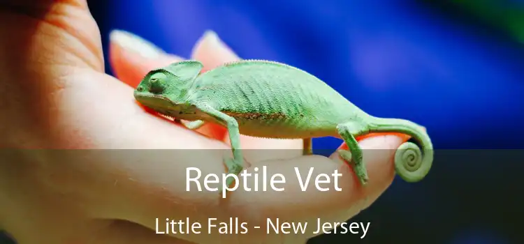 Reptile Vet Little Falls - New Jersey