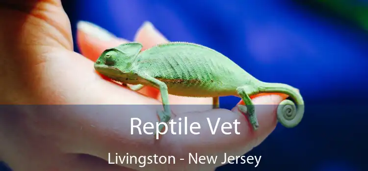 Reptile Vet Livingston - New Jersey