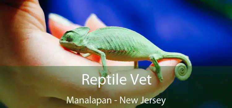 Reptile Vet Manalapan - New Jersey