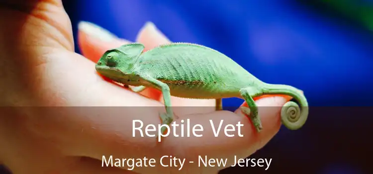 Reptile Vet Margate City - New Jersey