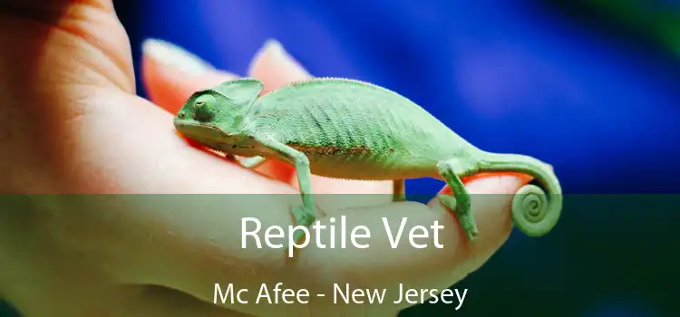 Reptile Vet Mc Afee - New Jersey