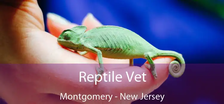 Reptile Vet Montgomery - New Jersey