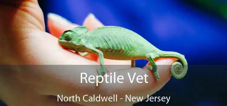 Reptile Vet North Caldwell - New Jersey