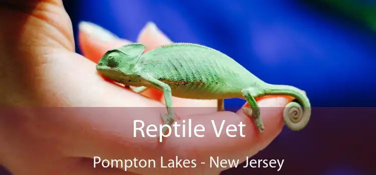 Reptile Vet Pompton Lakes - New Jersey