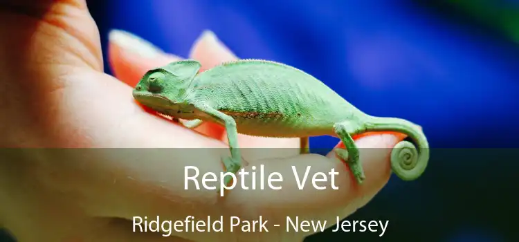 Reptile Vet Ridgefield Park - New Jersey