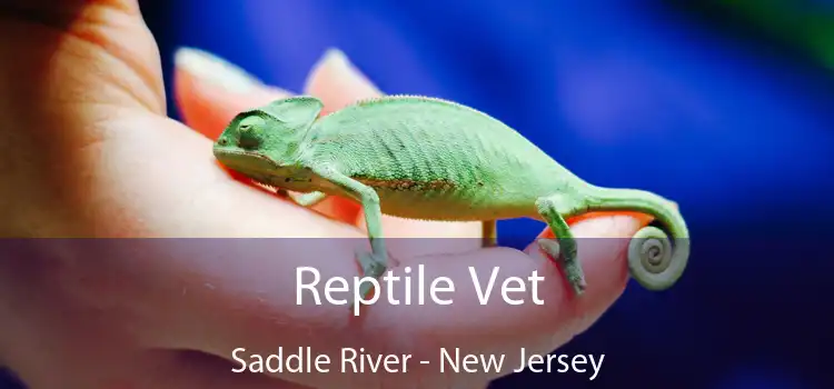 Reptile Vet Saddle River - New Jersey