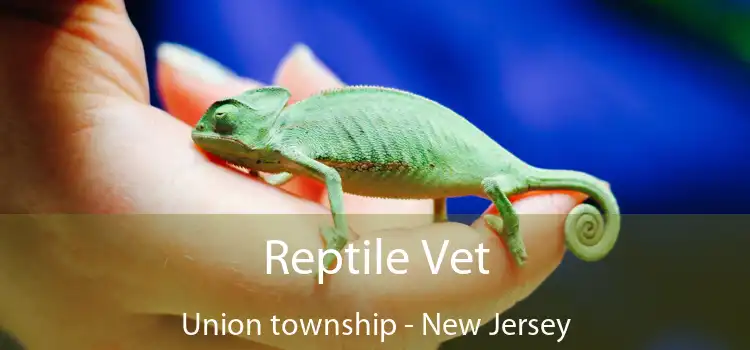 Reptile Vet Union township - New Jersey