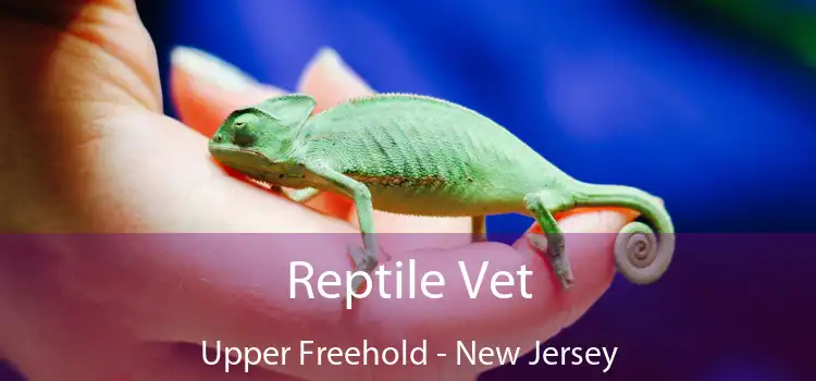 Reptile Vet Upper Freehold - New Jersey