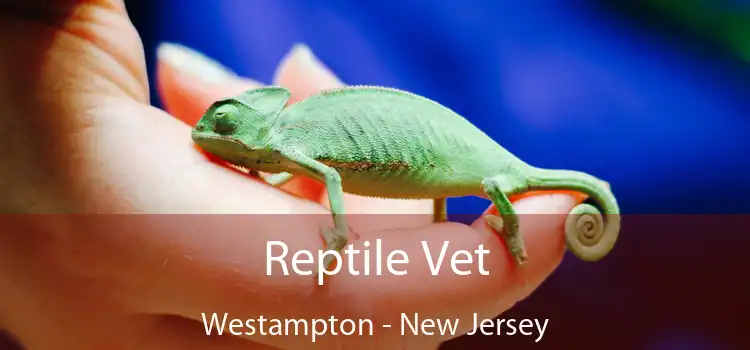 Reptile Vet Westampton - New Jersey