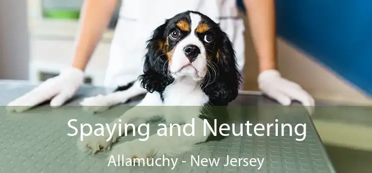 Spaying and Neutering Allamuchy - New Jersey