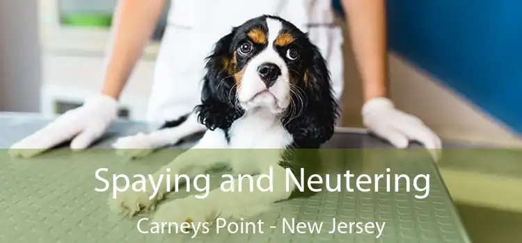 Spaying and Neutering Carneys Point - New Jersey