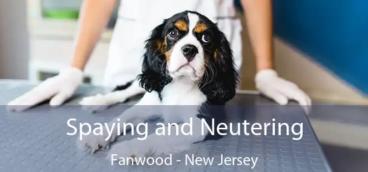 Spaying and Neutering Fanwood - New Jersey