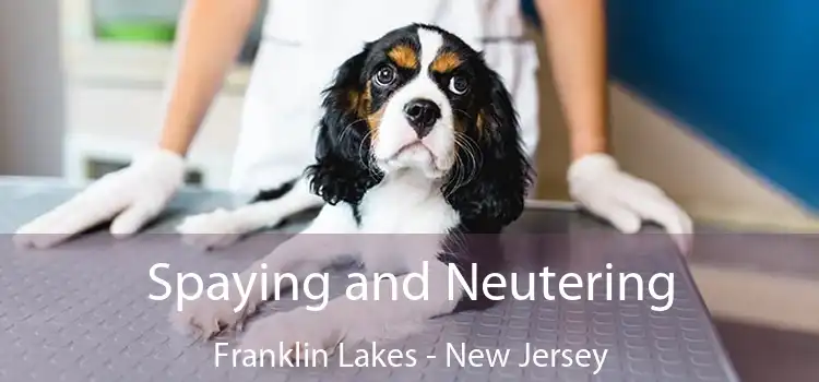 Spaying and Neutering Franklin Lakes - New Jersey