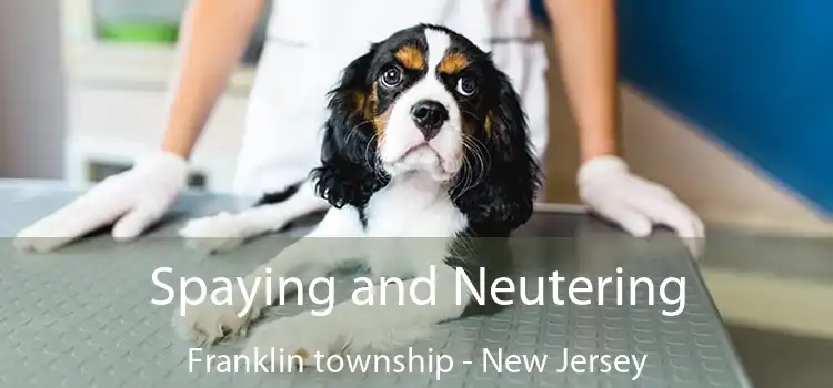 Spaying and Neutering Franklin township - New Jersey