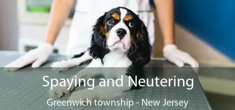 Spaying and Neutering Greenwich township - New Jersey